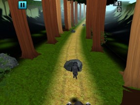 Jungle Dog Runner Image