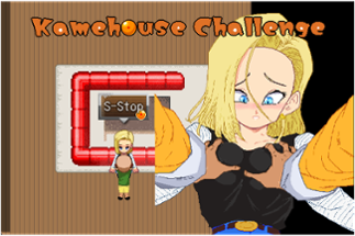 Kamehouse Challenge Image