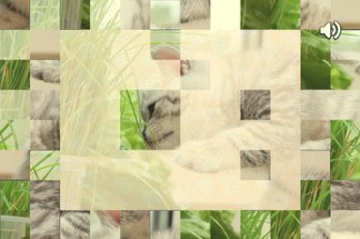 Animal Puzzles Image