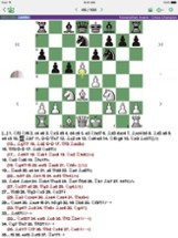 Anand - Chess Champion Image