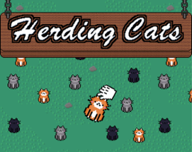 Herding Cats Image