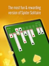 Spider Solitaire Classic Image