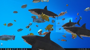 Fish on the desktop Image