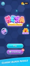 Hexa Puzzle Guru Image