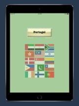 World Flags Game Image