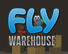 Fly in the Warehouse Image