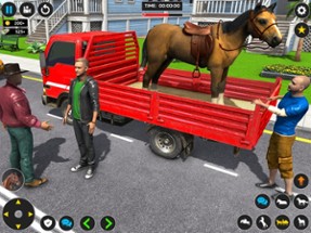 Animal Transport Horse Games Image