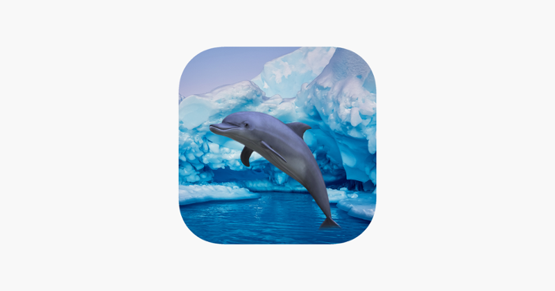 Antarctic Dolphin Escape Game Cover