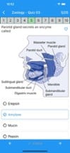 Biology Quiz (new) Image