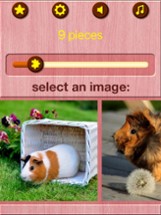 Guinea Pig Jigsaw Puzzle Games Image