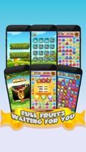 Amazing Fruit Splash Farm Journey Image