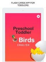 Birds Flashcard for babies and preschool Image