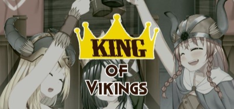 King of Vikings Game Cover