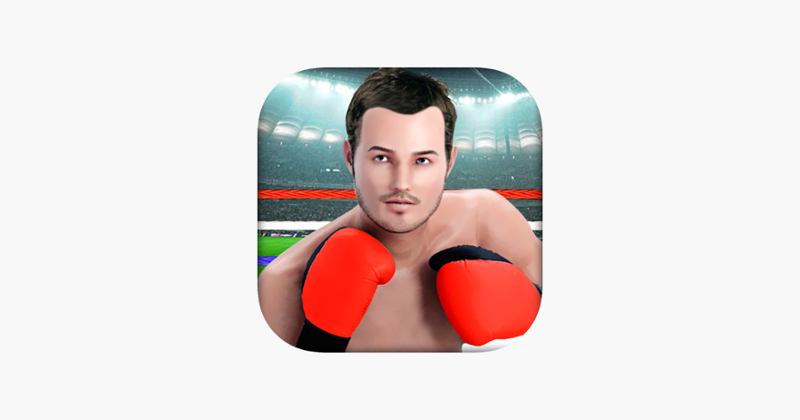 Real Boxing Punch Game Cover