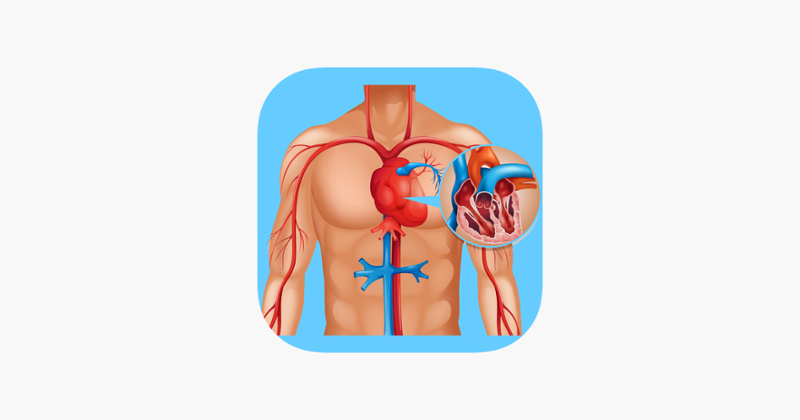 Cardiovascular System Quizzes Game Cover