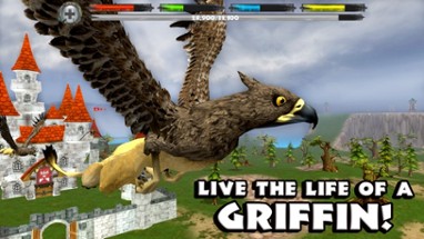 Griffin Simulator Image