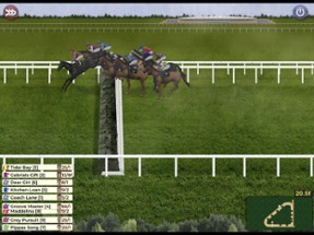 Starters Orders Touch Horse Racing Image