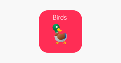 Birds Flashcard for babies and preschool Image