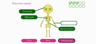 BodyQuest: Anatomy for kids Image