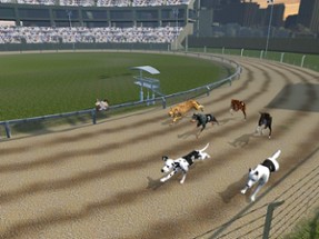 Crazy Dog Racing -Dog Games Image