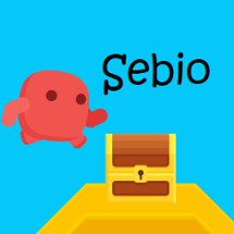 Sebio Image