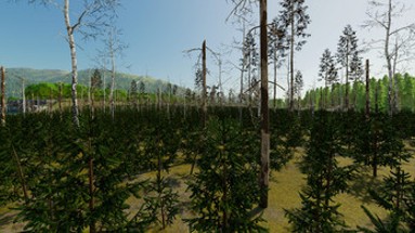 FS22 - Beaver Hollow Image