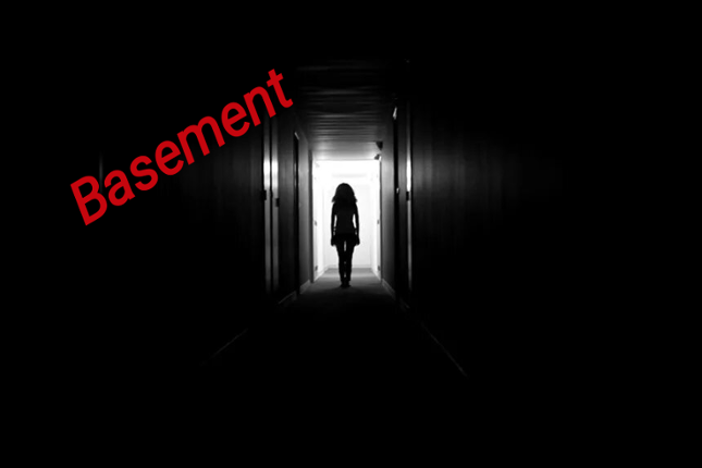 Basement The Horror Game Game Cover