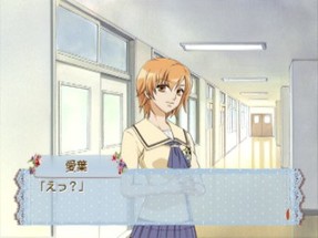 Orange Honey: Boku ha Kimi ni Koishiteru Image