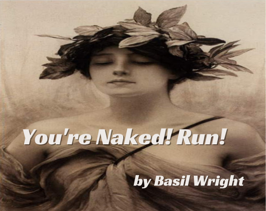 You're Naked! Run! Game Cover