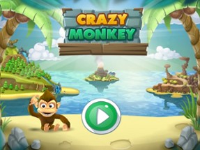 CRAZY MONKEY ! Image