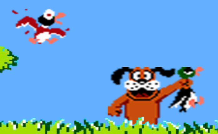 Duck Hunt Game Cover