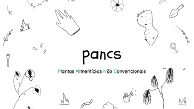 PANCS Image