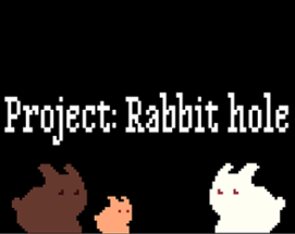 Project: Rabbit hole Image