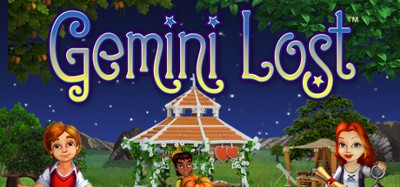 Gemini Lost Image