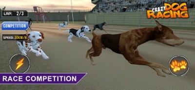 Crazy Dog Racing -Dog Games Image