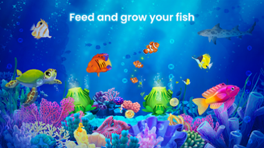 Splash: Fish Sanctuary Image