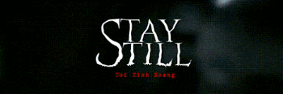 Stay Still Image