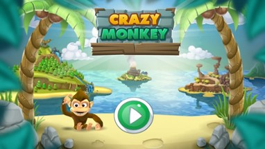 CRAZY MONKEY ! Image