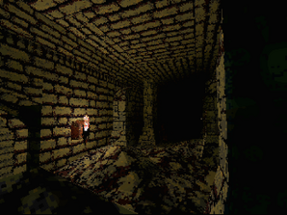 Withered: The Lost Dungeon Image