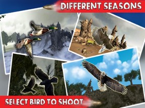 Bird Hunting Season 3D: Real Sniper Shooting 2017 Image
