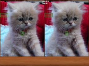 Cats Spot the Difference Image