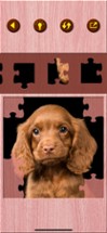 Cute Puppy Jigsaw Puzzle Games Image