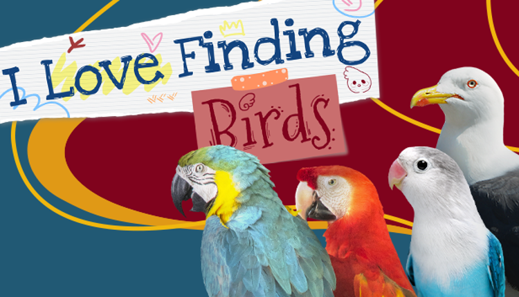 I Love Finding Birds Game Cover