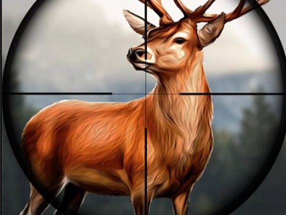 Safari Animal Hunter Game Cover