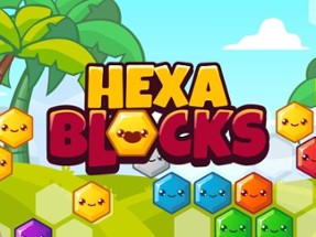 Hexa Blocks Image