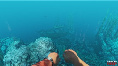 Stranded Deep Image