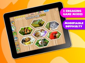 Abby Monkey® Baby Zoo Animals: Preschool activity games for children Image