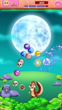 Pet Bubble Shooter 2017 - Puzzle Match Game Image