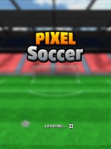 Pixel Soccer 3D Image