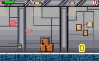 Escapigs Image